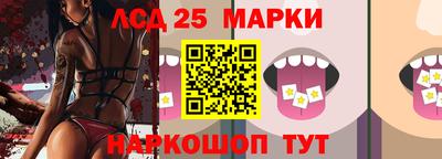 apvp Славгород